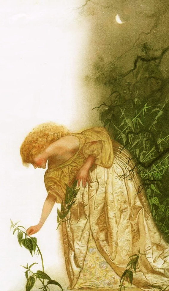 picking nettles at night