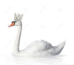 swan with crown